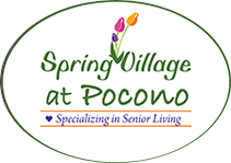 Spring Village Logo